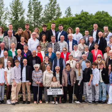 Classes Gaël 2025 par le Studio Mignot